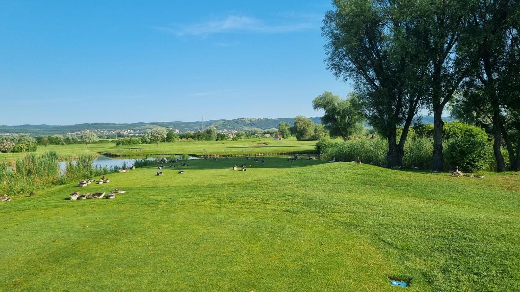 Birkenhof Gols - B & B - Wohlfuehl Hotel Mit Wochenend-Restaurant 外观 照片