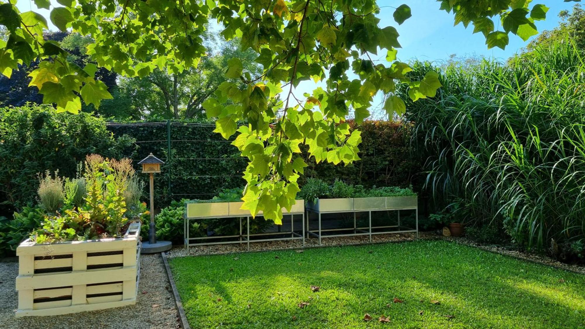 Birkenhof Gols - B & B - Wohlfuehl Hotel Mit Wochenend-Restaurant 外观 照片